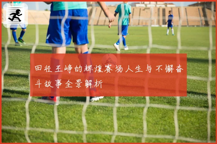 田径王峥的辉煌赛场人生与不懈奋斗故事全景解析