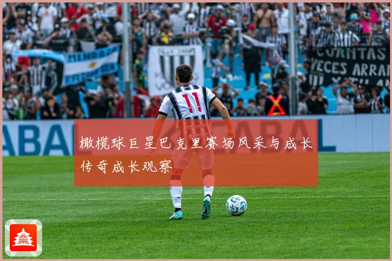 橄榄球巨星巴克里赛场风采与成长传奇成长观察