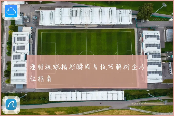 潘特板球精彩瞬间与技巧解析全方位指南