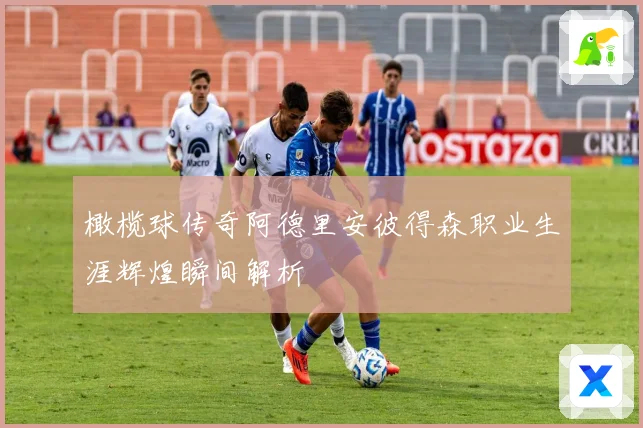 橄榄球传奇阿德里安彼得森职业生涯辉煌瞬间解析
