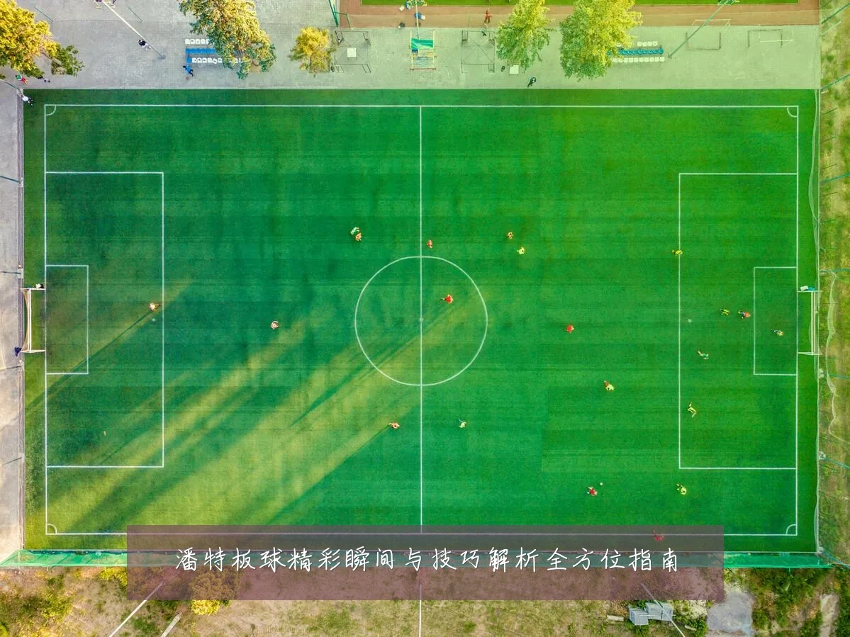 潘特板球精彩瞬间与技巧解析全方位指南